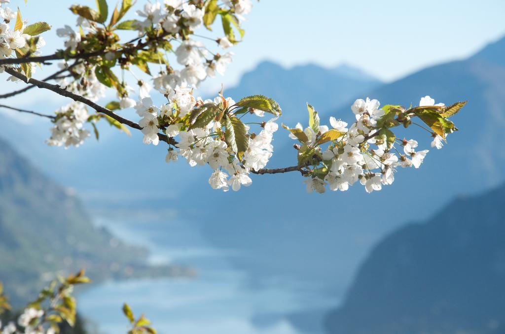 B&B L'Ariosa Lago D'Idro Crone Exterior foto